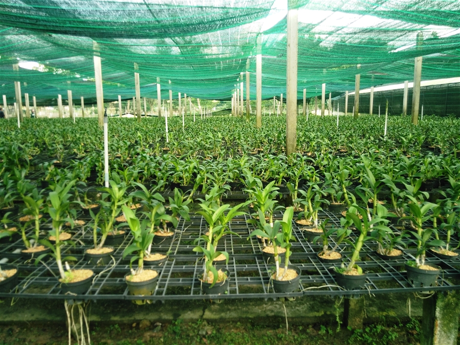 Khuyến khích chứ không phải là ban phát ngân sách 
