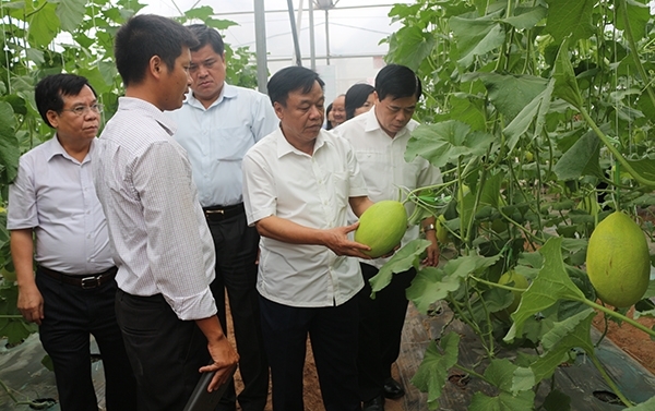 Hoàn thiện chính sách để hợp tác xã nông nghiệp phát huy thế mạnh 